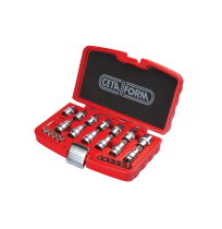 C20-25PT 25 Parça 1/4" + 1/2" TORX Lokma Takımı